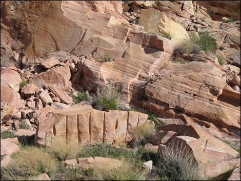 colorock quarry