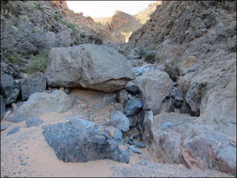 Colorock Canyon Loop