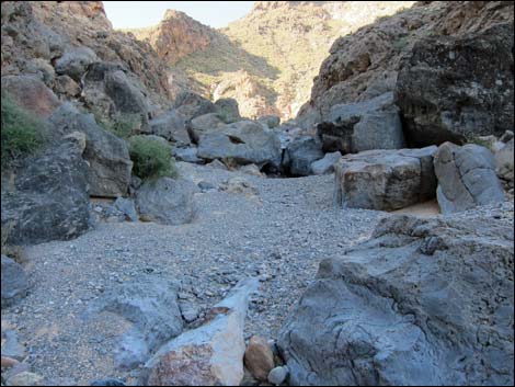 Colorock Canyon Loop