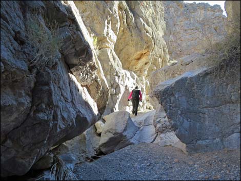 Colorock Canyon Loop