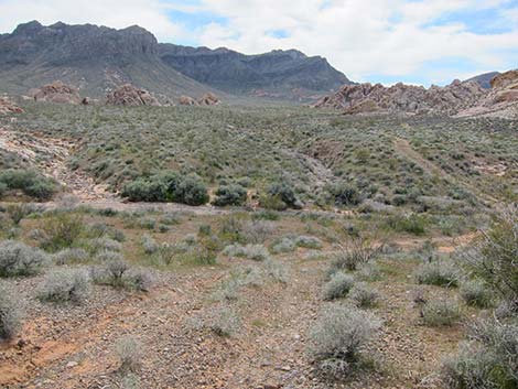 Hidden Valley Arch