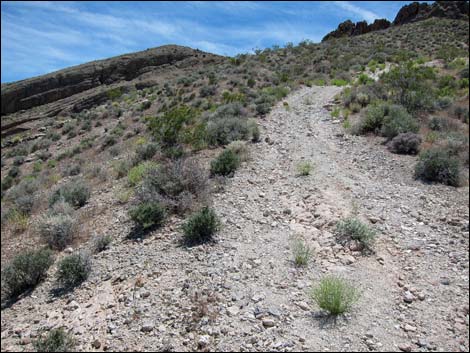 Hidden Valley East Trail