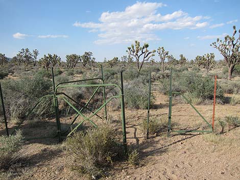 BLM "Spirit of Wilderness" Trail