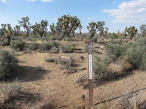 BLM "Spirit of Wilderness" Trail