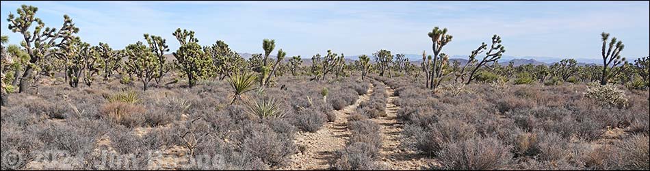 El Dorado Wagon Road Trail