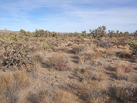 El Dorado Wagon Road Trail