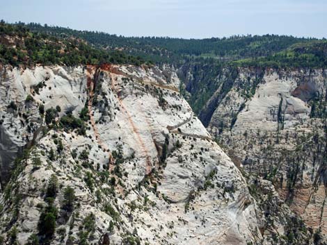 Observation Point Trail