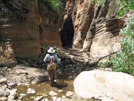 Orderville Canyon