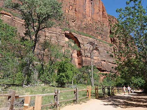 Riverside Walk Trail