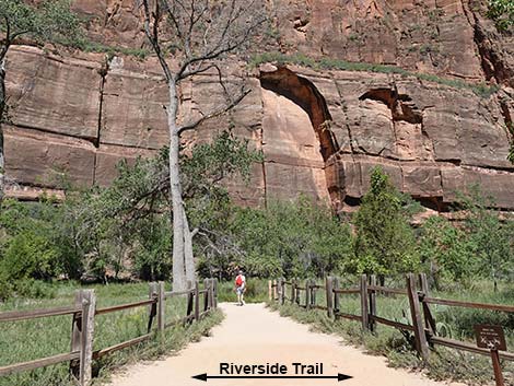 Riverside Walk Trail