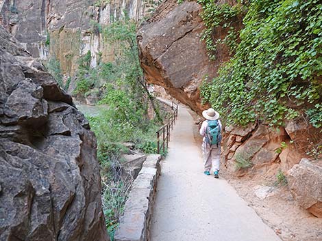 Riverside Walk Trail