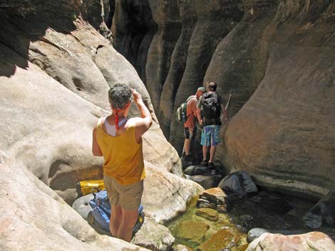 Zion Subway