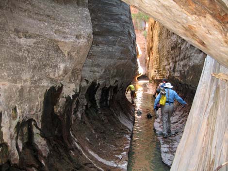 Zion Subway