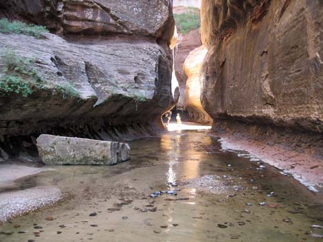 Zion Subway