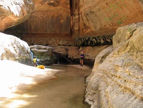 Zion Subway