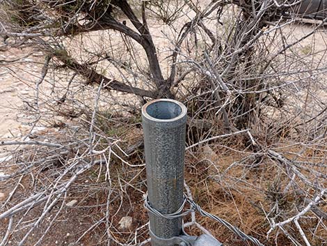 Fence Posts