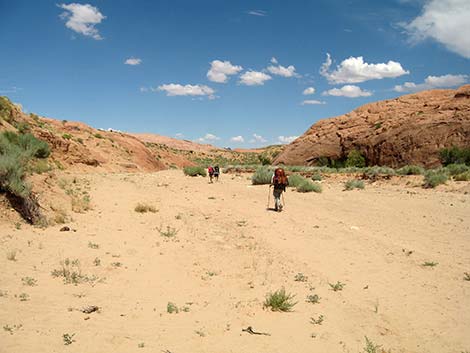 Coyote Gulch