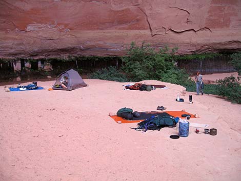 Coyote Gulch