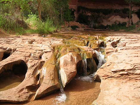 Coyote Gulch