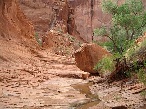 Coyote Gulch