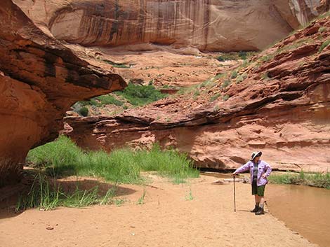 Coyote Gulch