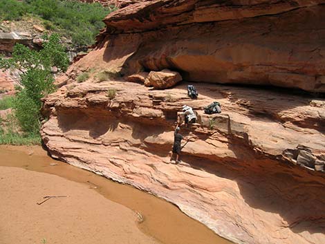 Coyote Gulch