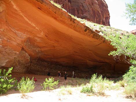 Coyote Gulch