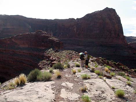 Coyote Gulch