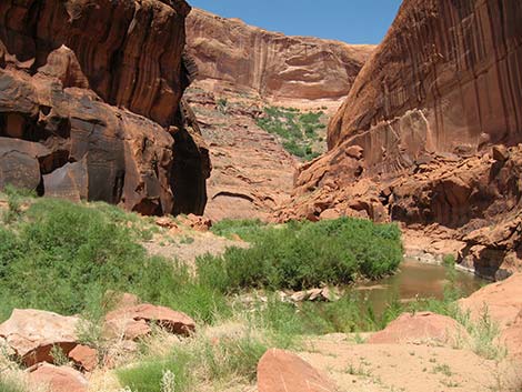 Coyote Gulch