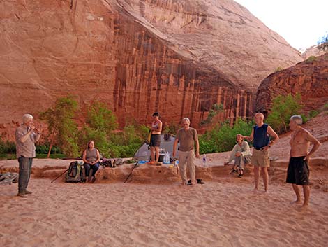 Coyote Gulch