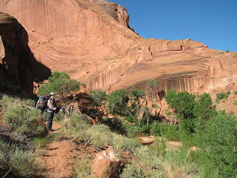 Coyote Gulch