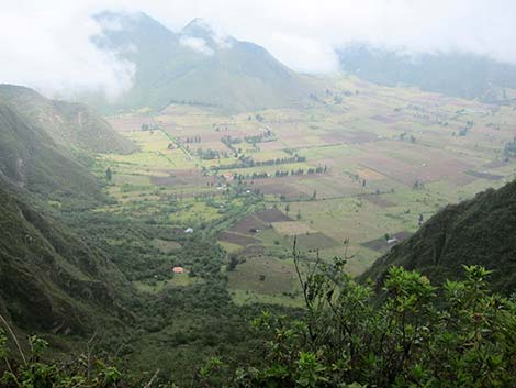 Ecuador