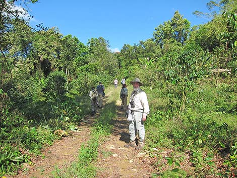 Jamaica