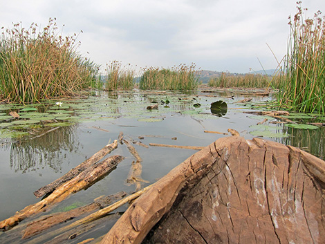 Tanzania