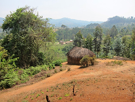 Tanzania