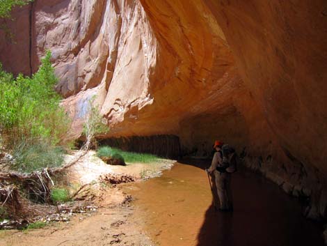 Coyote Gulch