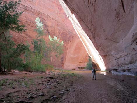 Coyote Gulch