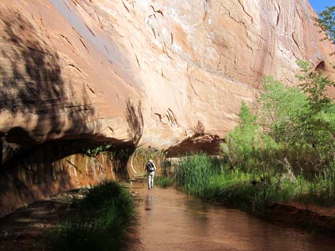 Coyote Gulch