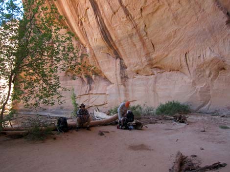 Coyote Gulch