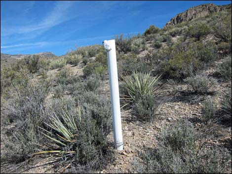 Illegal Mining Claim Markers