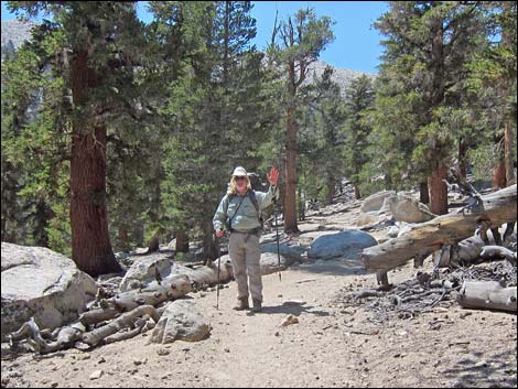 John Muir Trail