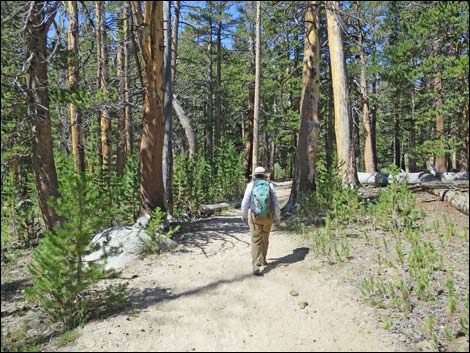 John Muir Trail