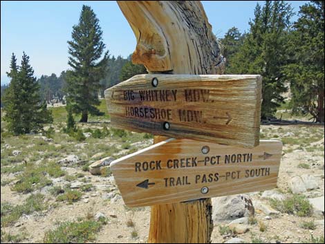 John Muir Trail