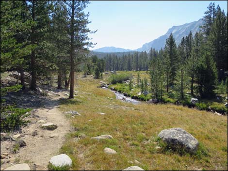 John Muir Trail