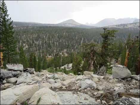 John Muir Trail