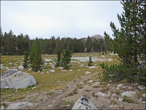 John Muir Trail