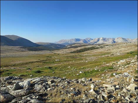 John Muir Trail