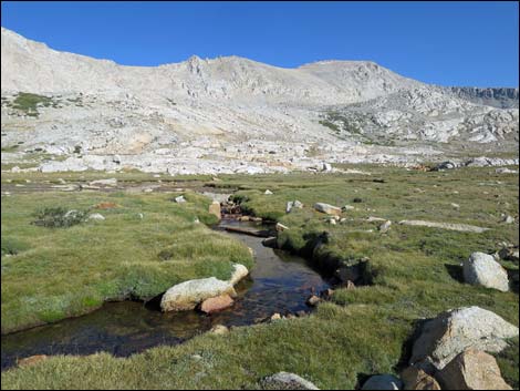 John Muir Trail