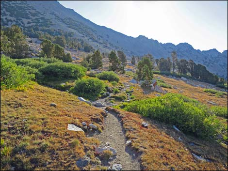 John Muir Trail