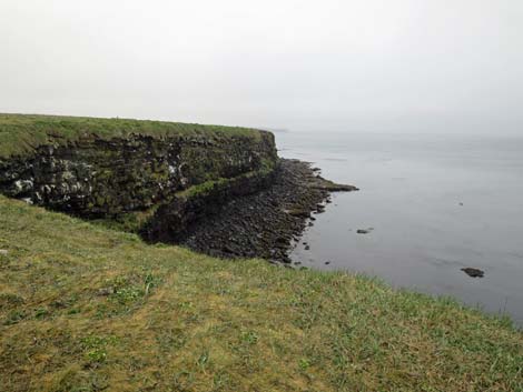 St. Paul, Pribilof Islands